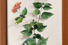 acuarela-flor-lantana-marco-Elenaerokhinadeballester